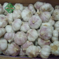 2017 урожая естественный чеснок нормальный белый чеснок, 10кг коробка свободная упаковка